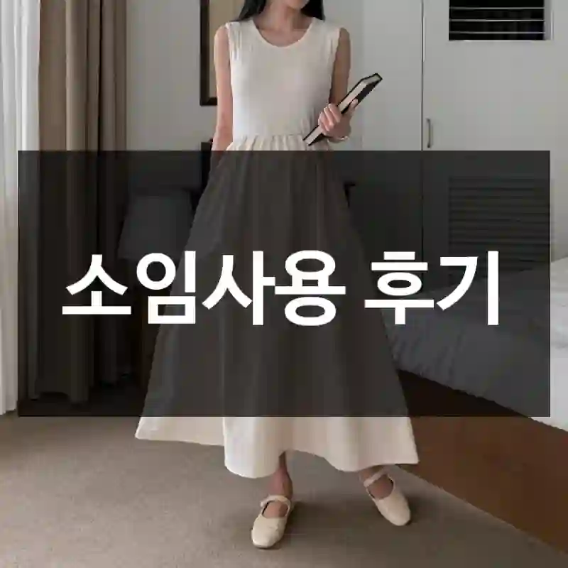 소임사용 후기