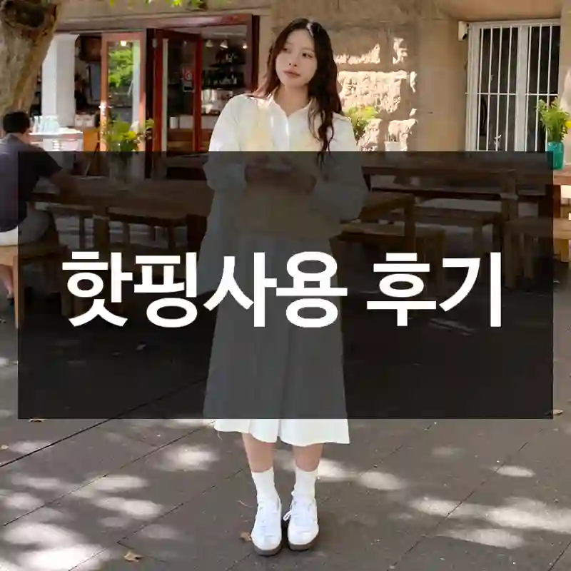 핫핑사용 후기