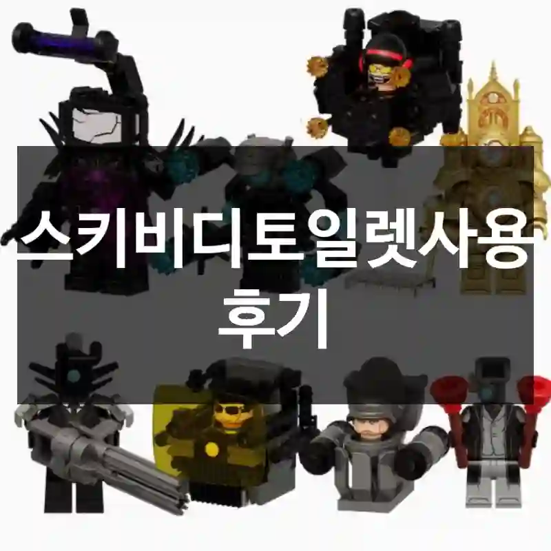 스키비디토일렛사용 후기