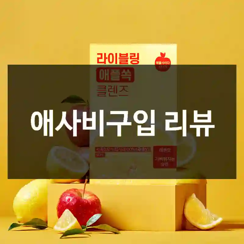 애사비구입 리뷰
