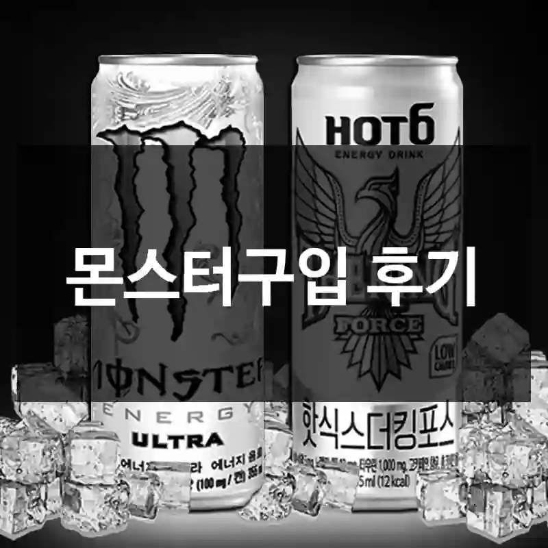 몬스터구입 후기