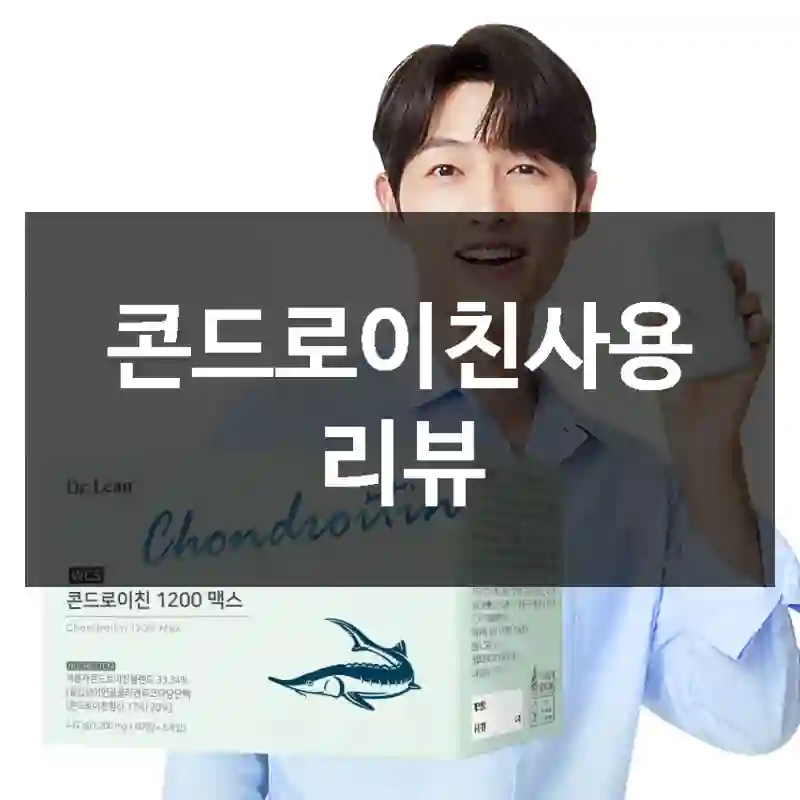 콘드로이친사용 리뷰