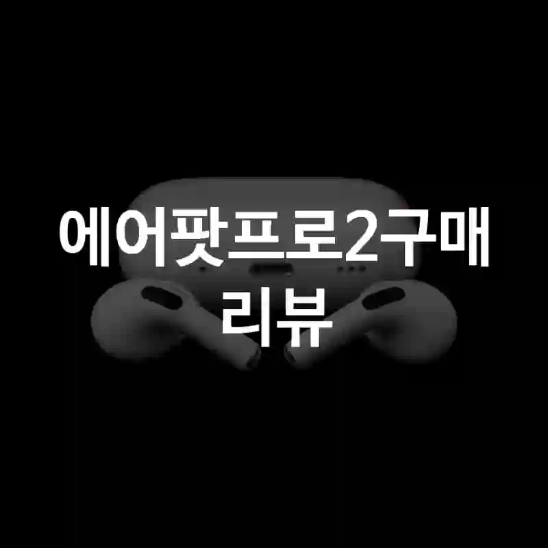 에어팟프로2구매 리뷰