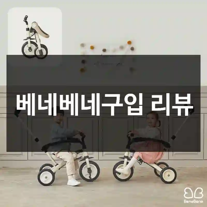 베네베네구입 리뷰
