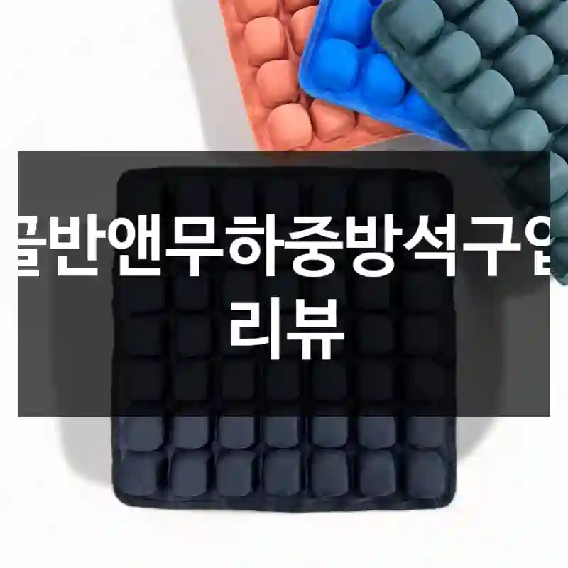골반앤무하중방석구입 리뷰