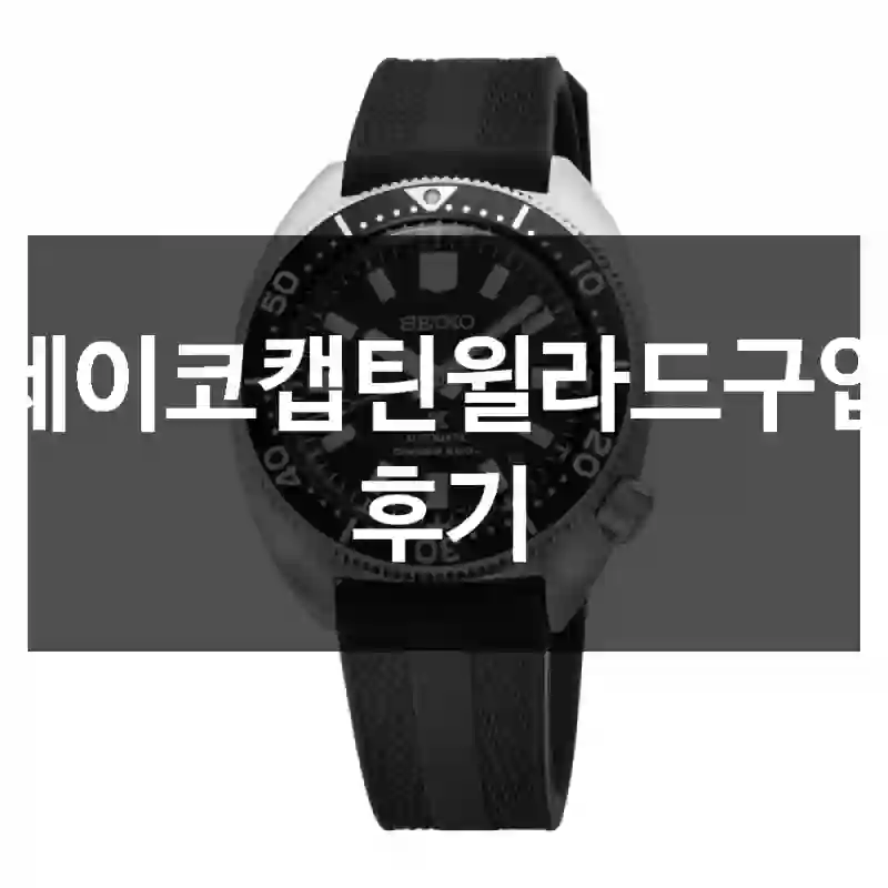 세이코캡틴윌라드구입 후기