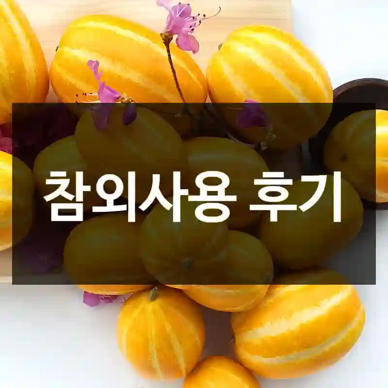 참외사용 후기