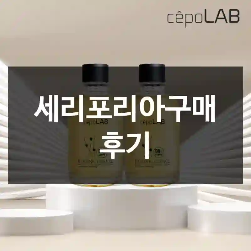 세리포리아구매 후기