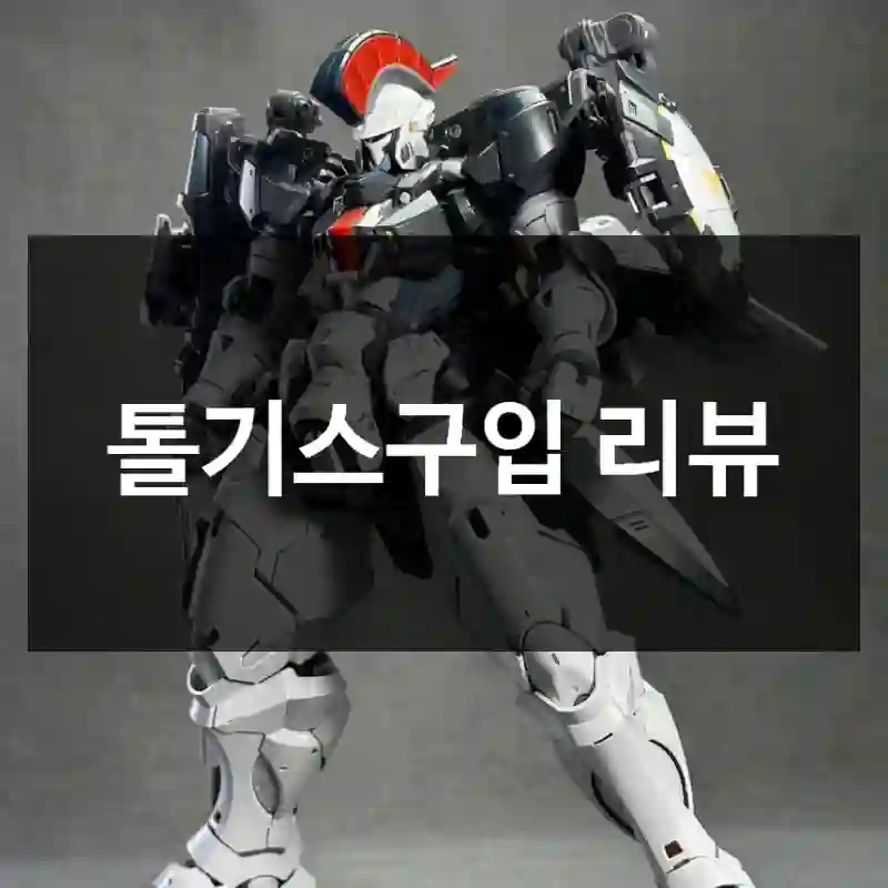 톨기스구입 리뷰