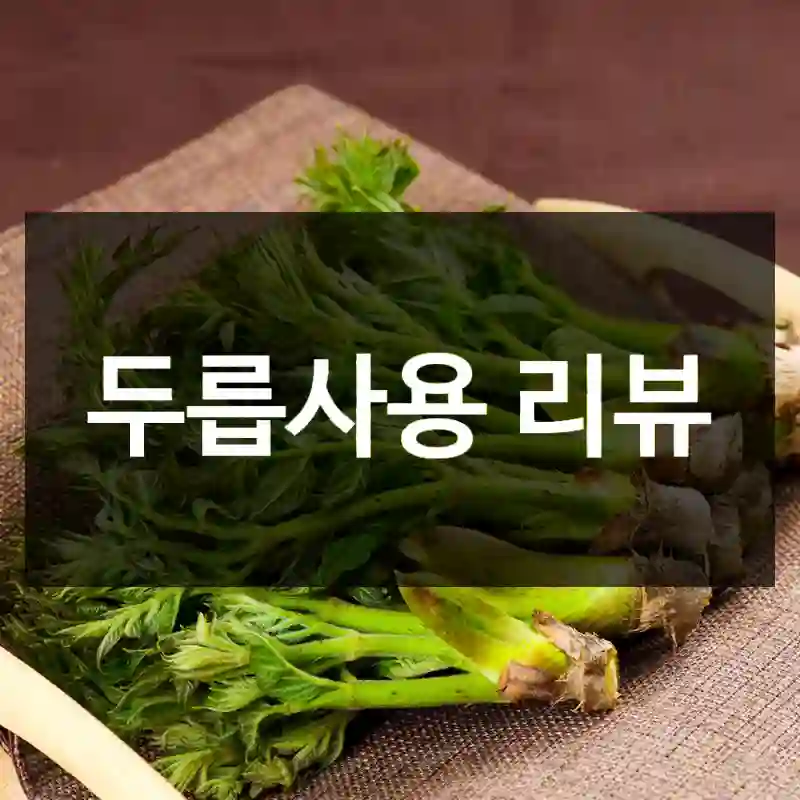 두릅사용 리뷰