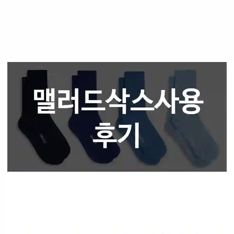 맬러드삭스사용 후기