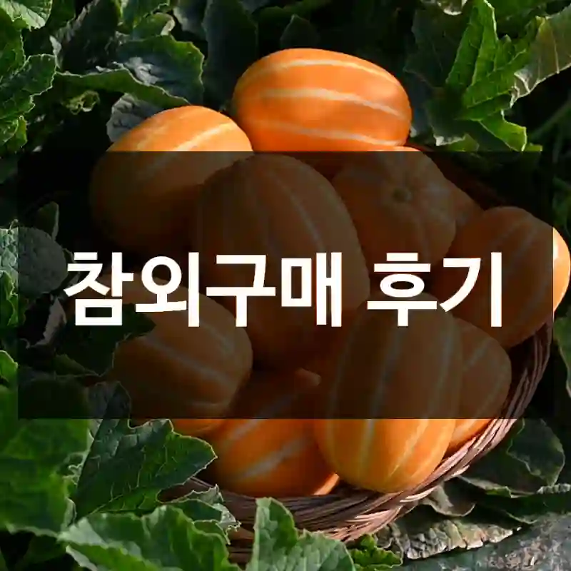 참외구매 후기