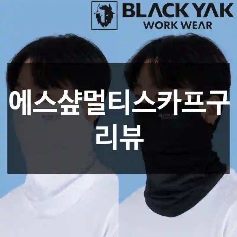 디에스샾멀티스카프구입 리뷰