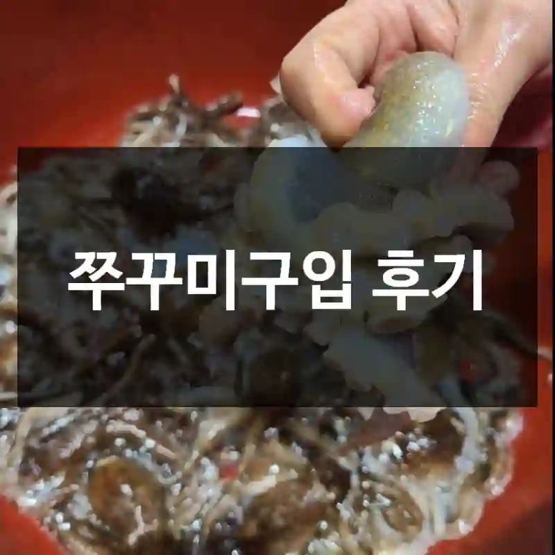 쭈꾸미구입 후기