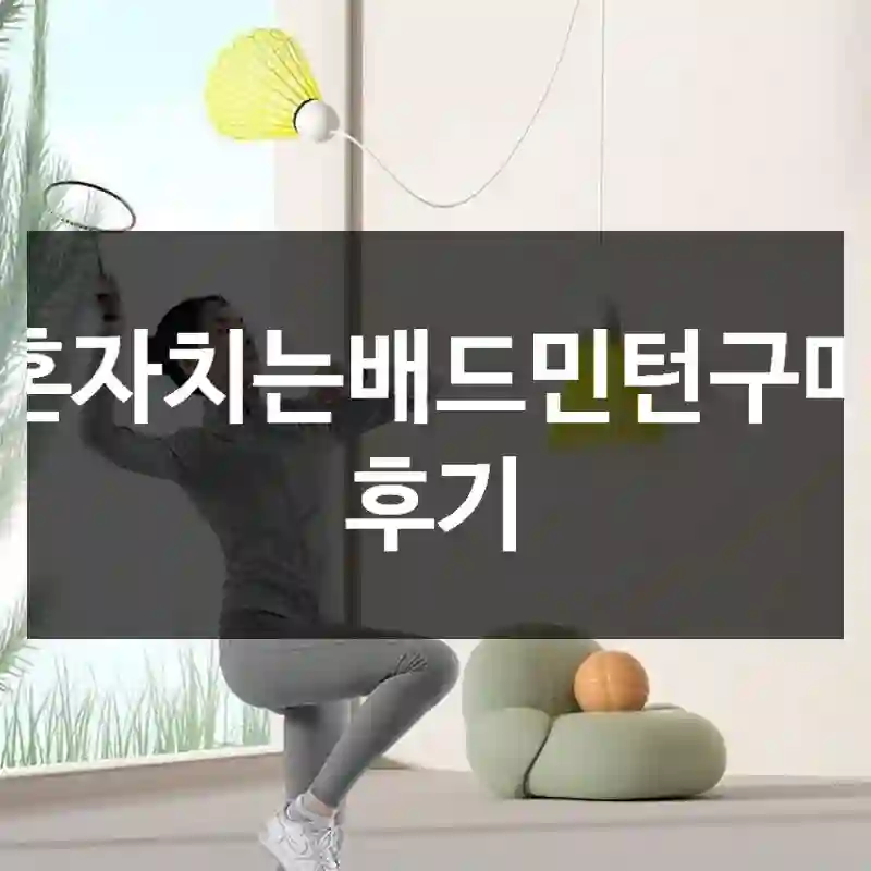 혼자치는배드민턴구매 후기