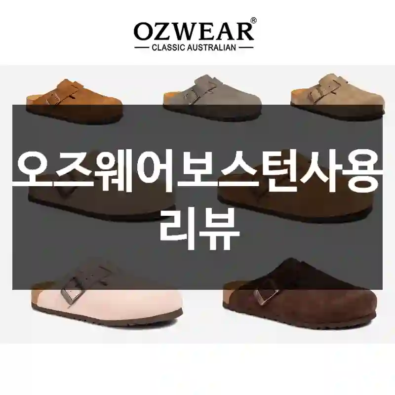 오즈웨어보스턴사용 리뷰