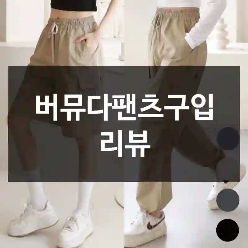 버뮤다팬츠구입 리뷰