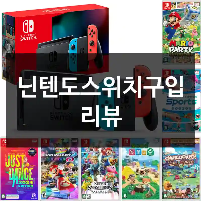 닌텐도스위치구입 리뷰