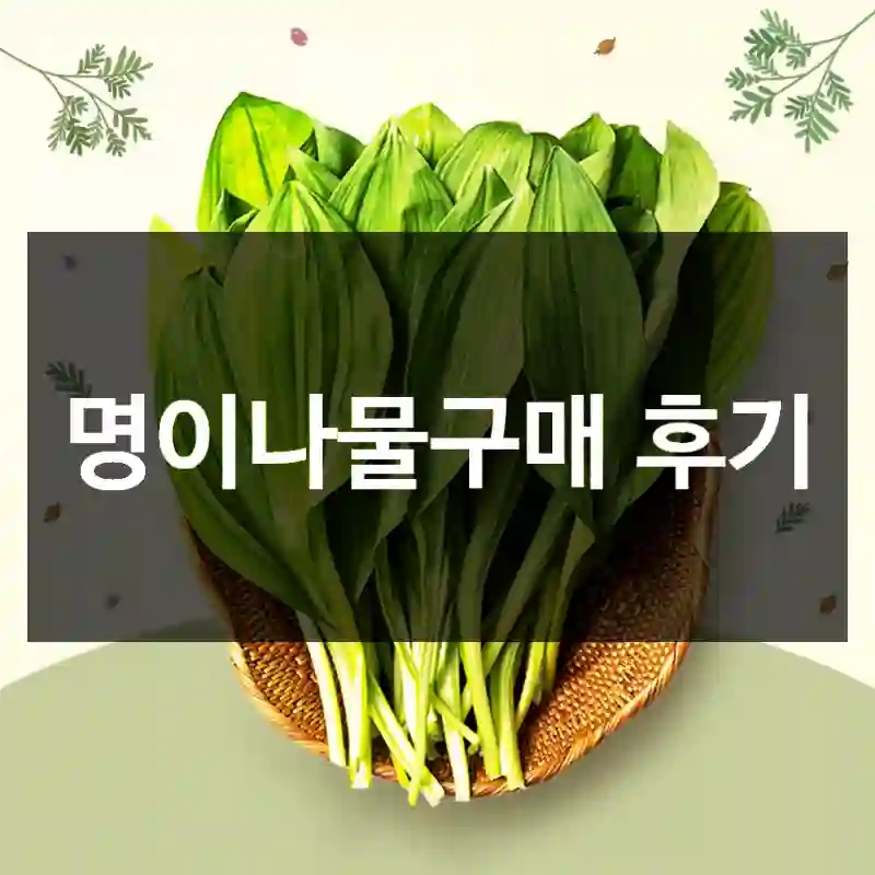 명이나물구매 후기