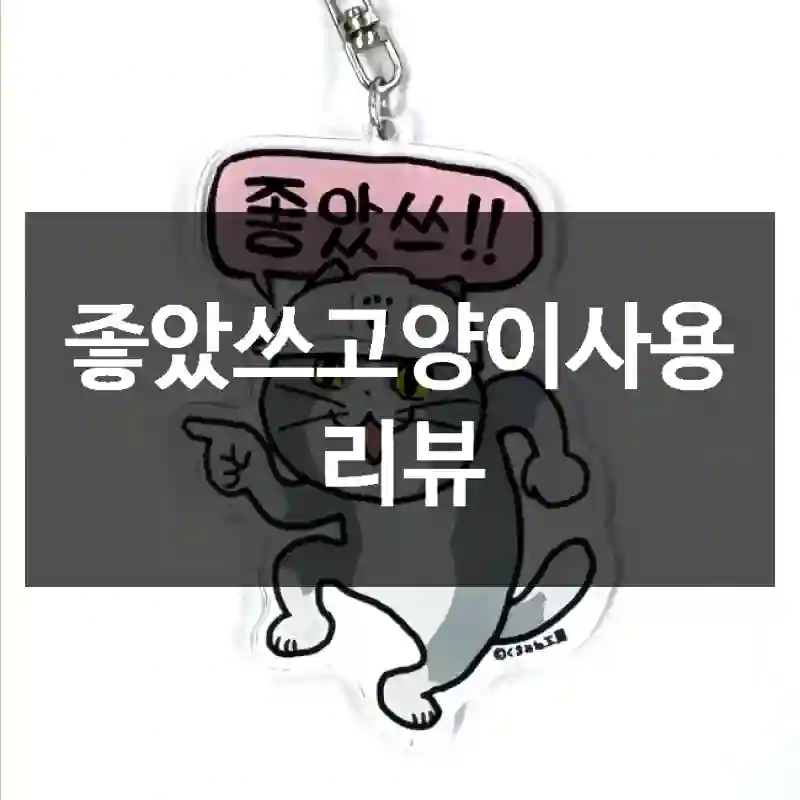좋았쓰고양이사용 리뷰