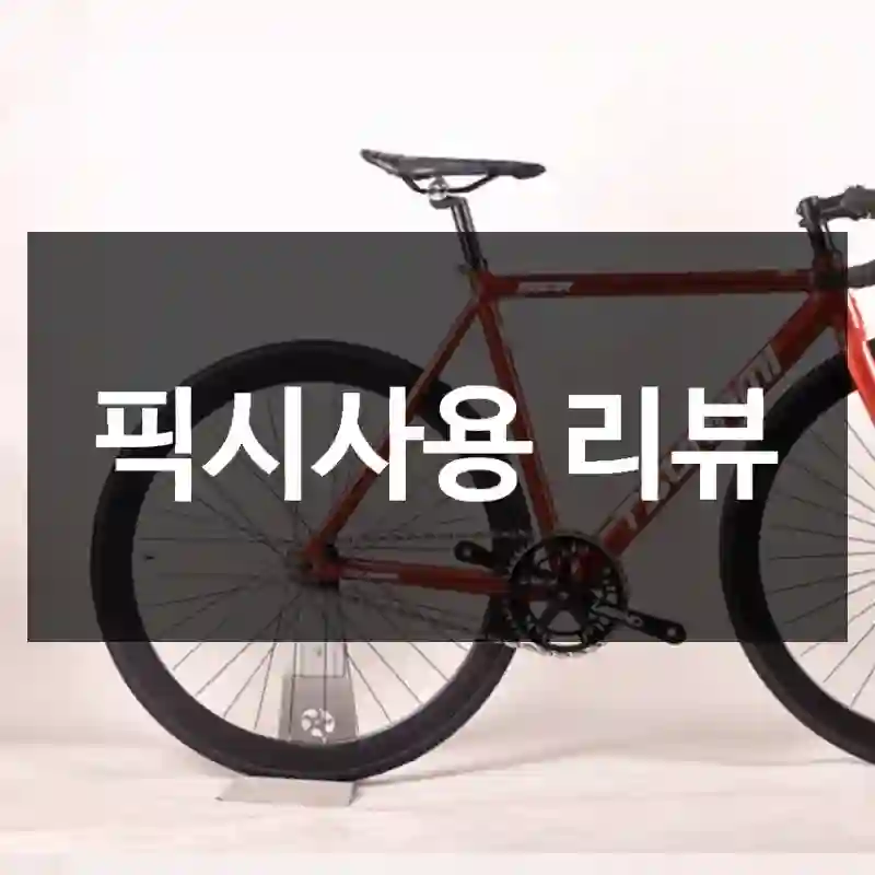 픽시사용 리뷰