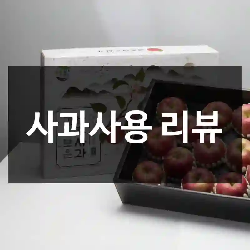 사과사용 리뷰