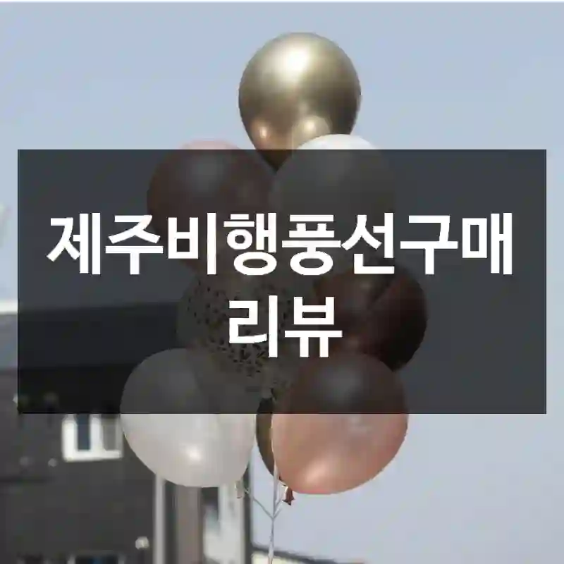 제주비행풍선구매 리뷰