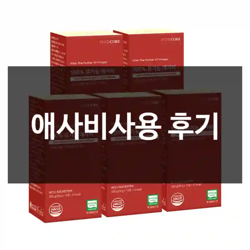 애사비사용 후기