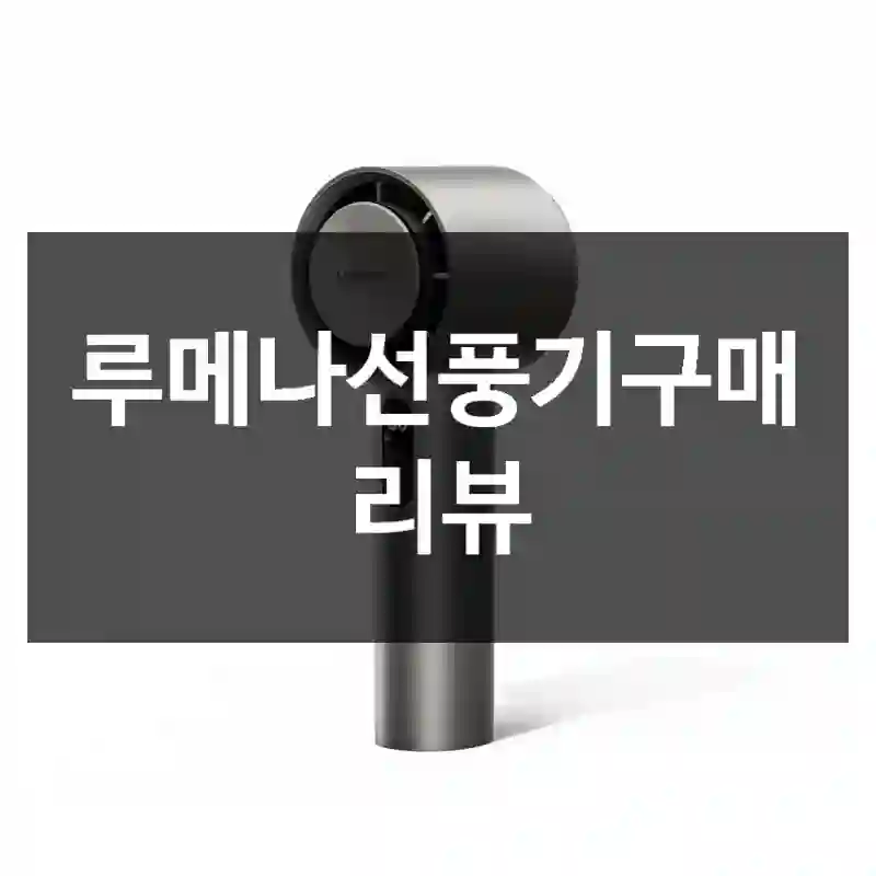 루메나선풍기구매 리뷰