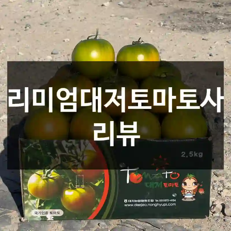 프리미엄대저토마토사용 리뷰