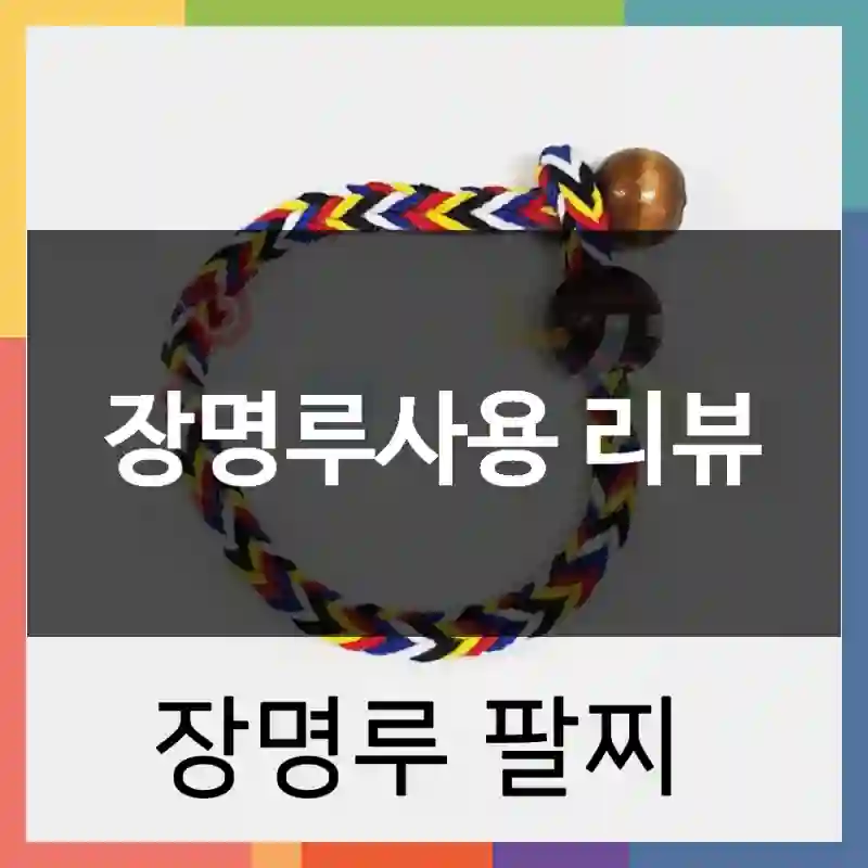 장명루사용 리뷰