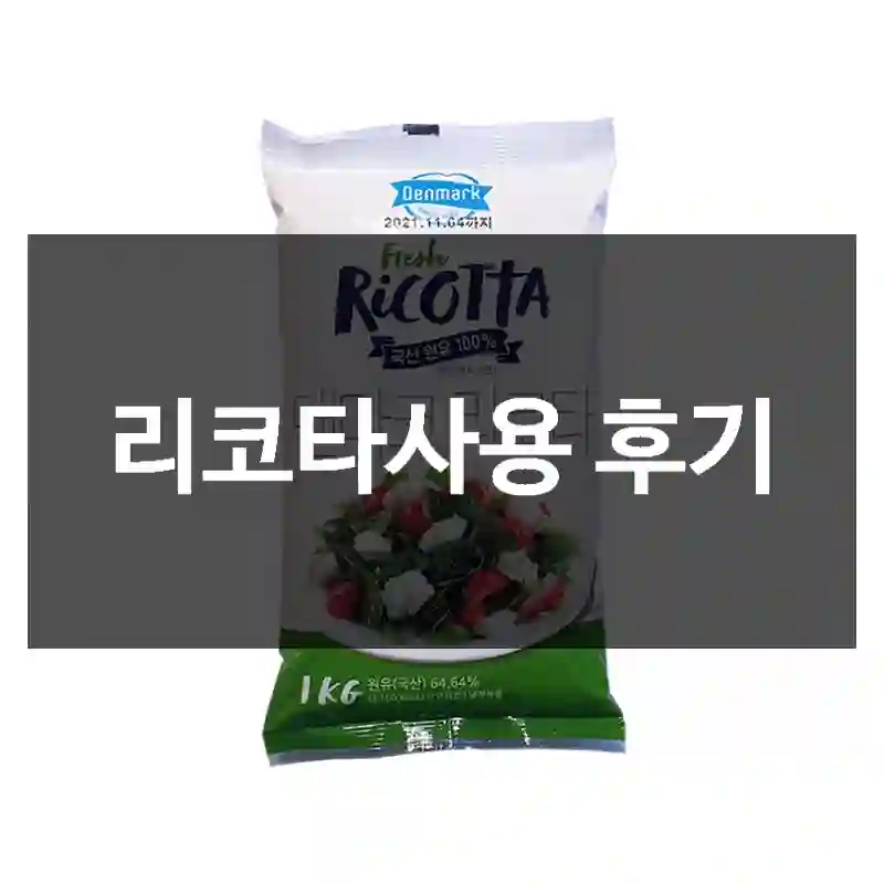 리코타사용 후기