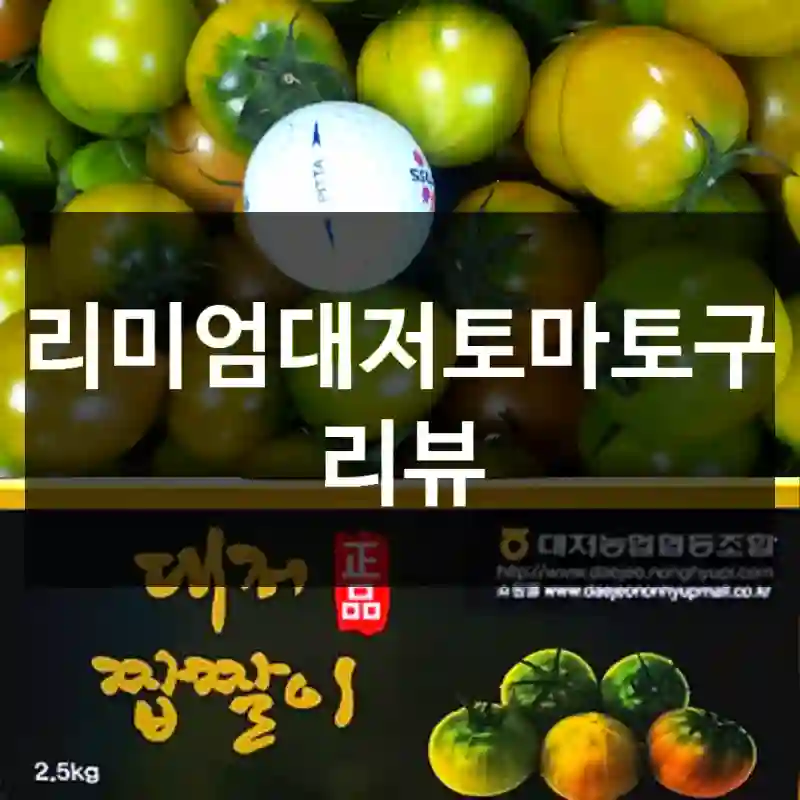 프리미엄대저토마토구입 리뷰