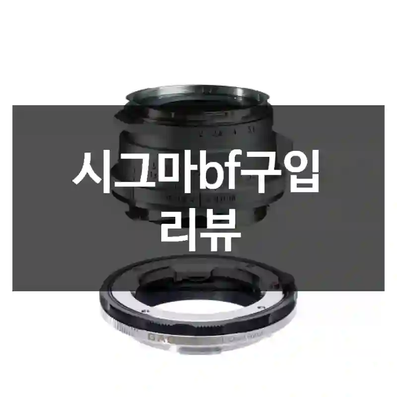 시그마bf구입 리뷰