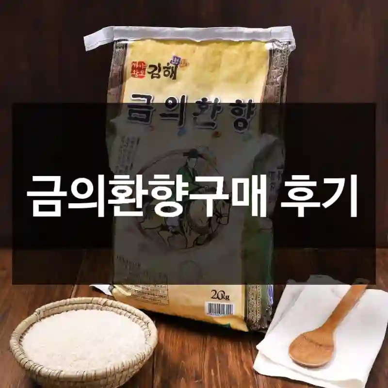 금의환향구매 후기