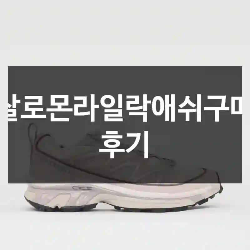 살로몬라일락애쉬구매 후기