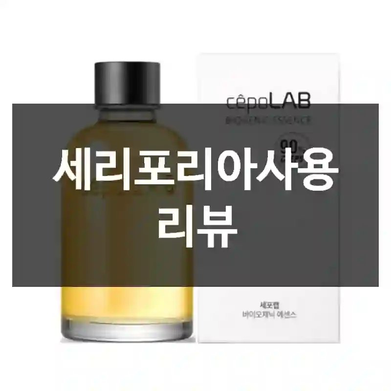 세리포리아사용 리뷰