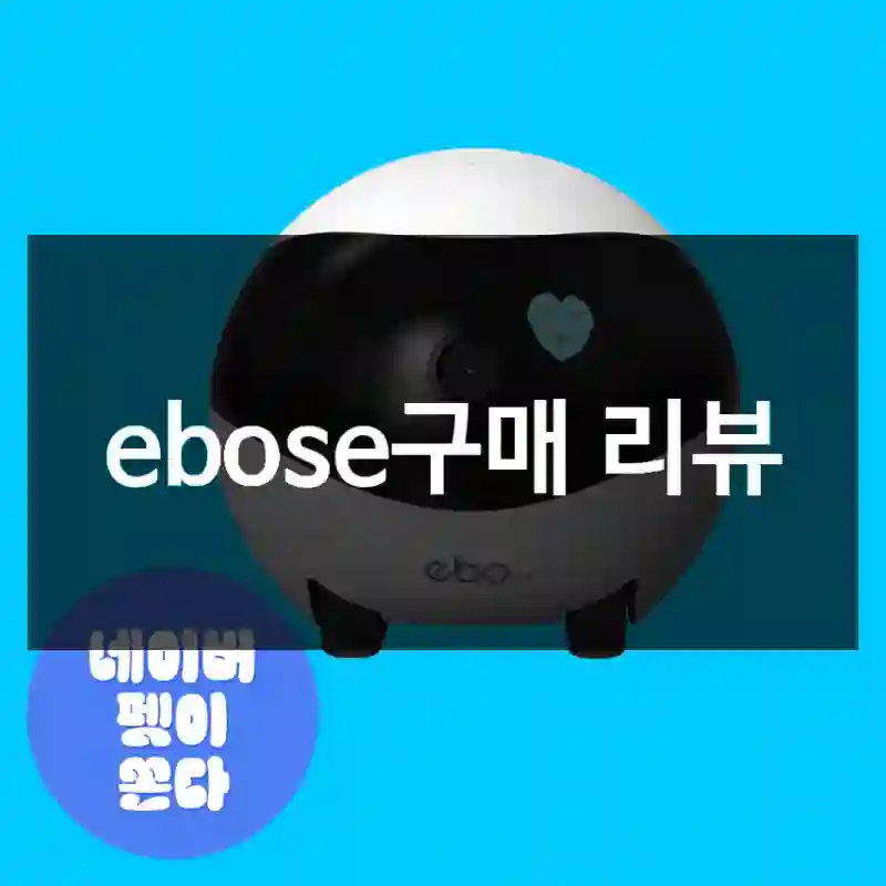 ebose구매 리뷰