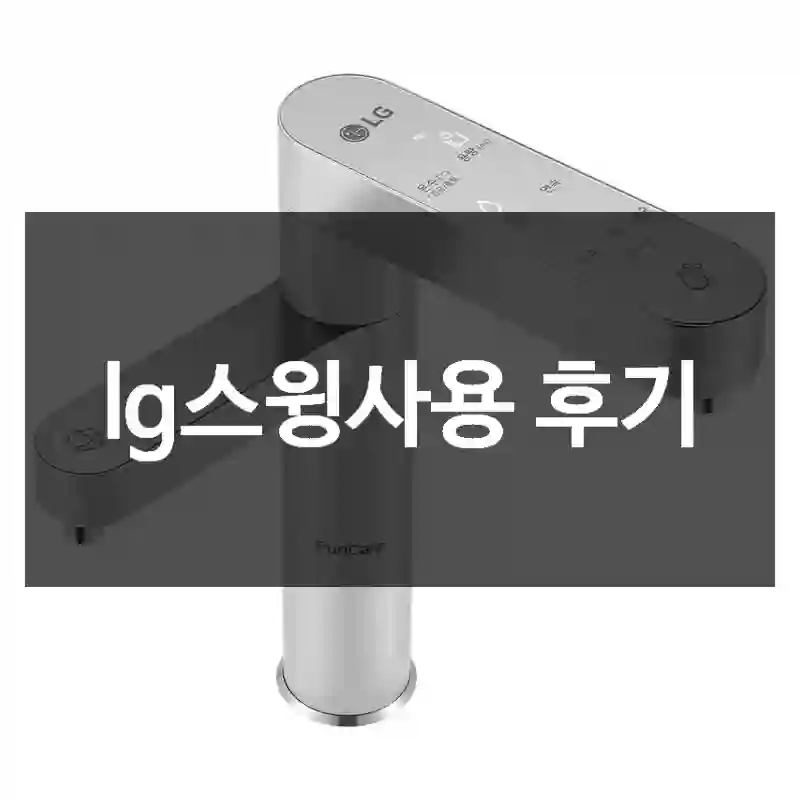 lg스윙사용 후기