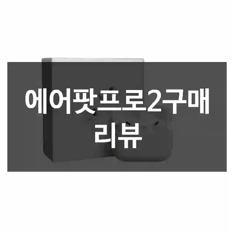 에어팟프로2구매 리뷰