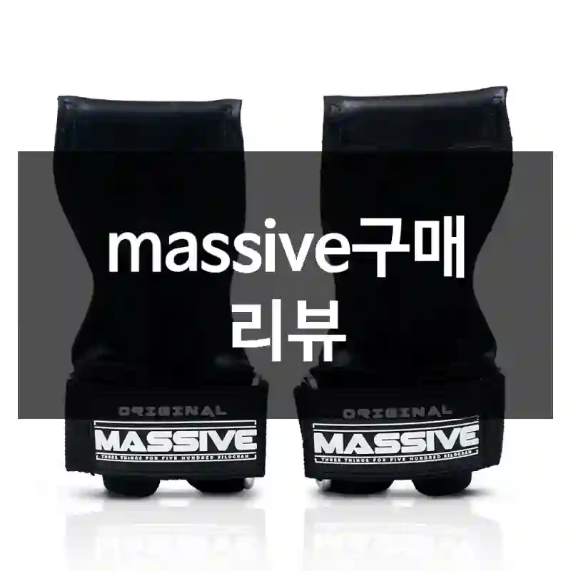 massive구매 리뷰