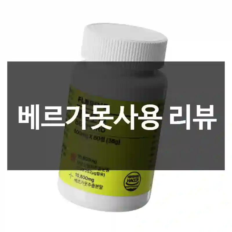 베르가못사용 리뷰