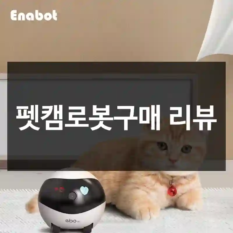 펫캠로봇구매 리뷰
