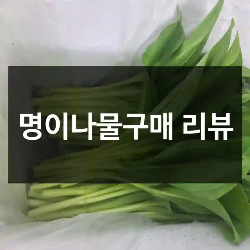 명이나물구매 리뷰