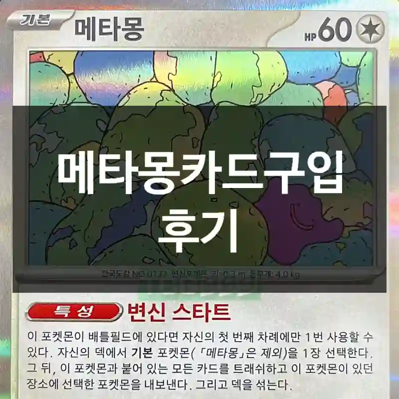 메타몽카드구입 후기