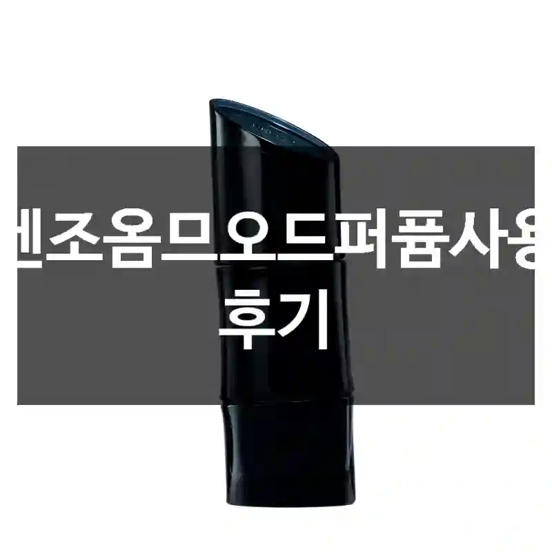 겐조옴므오드퍼퓸사용 후기