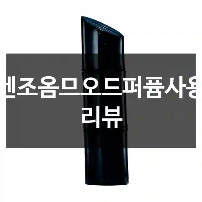 겐조옴므오드퍼퓸사용 리뷰