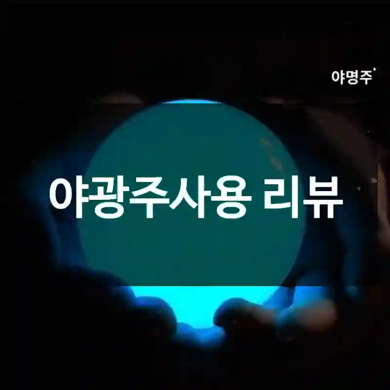 야광주사용 리뷰