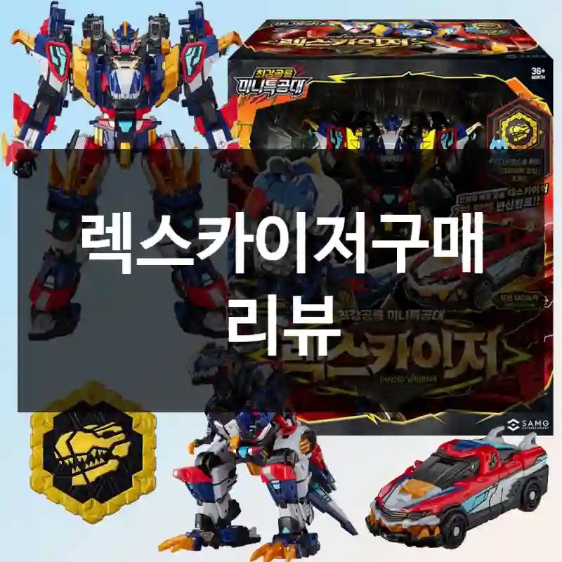 렉스카이저구매 리뷰