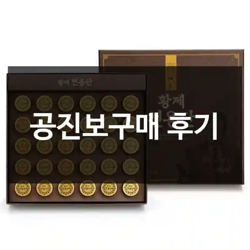공진보구매 후기